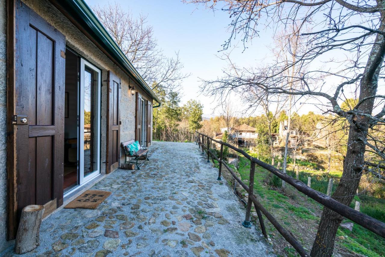 Quinta Das Lamas - Oak Tree House Vouzela Ngoại thất bức ảnh