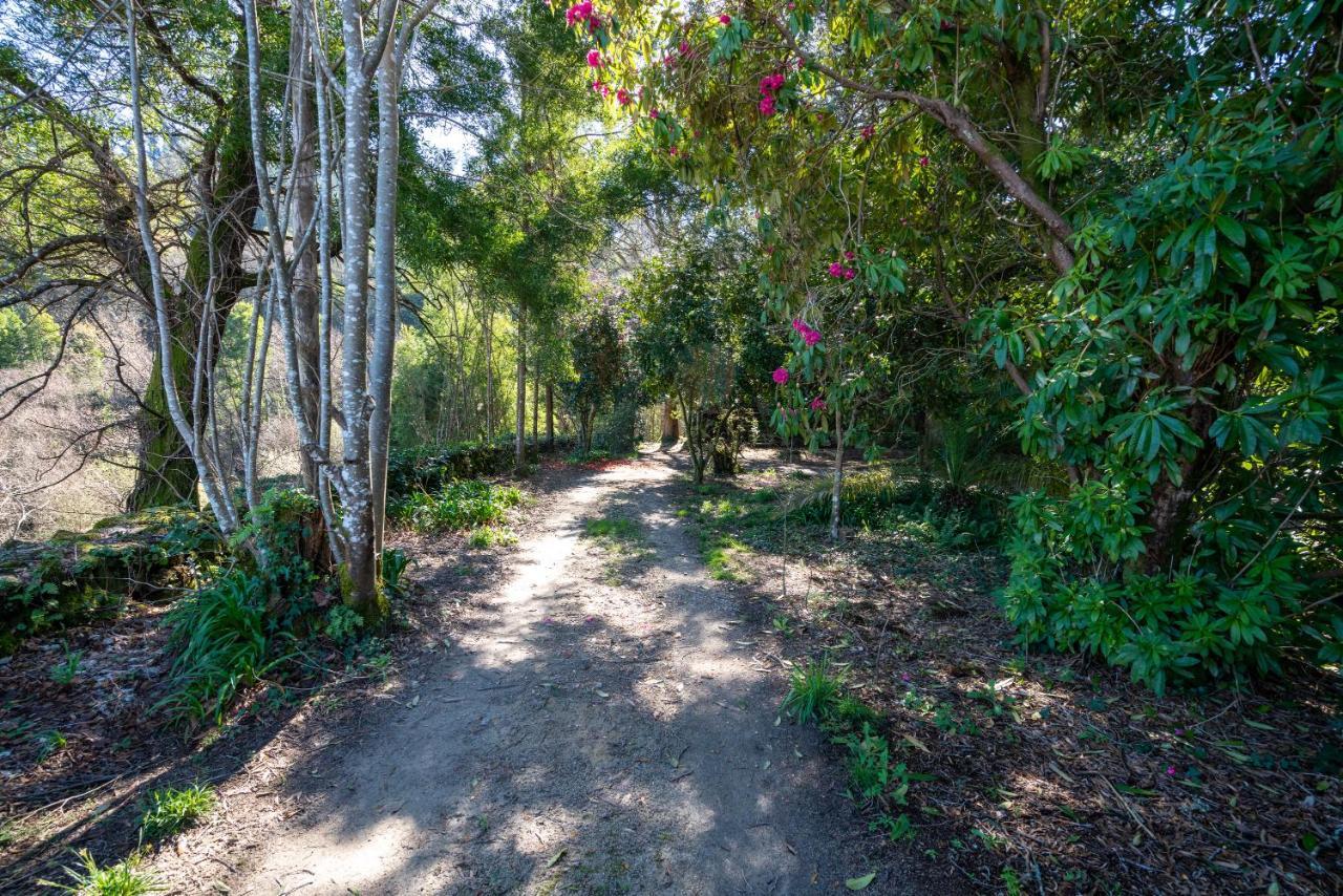 Quinta Das Lamas - Oak Tree House Vouzela Ngoại thất bức ảnh